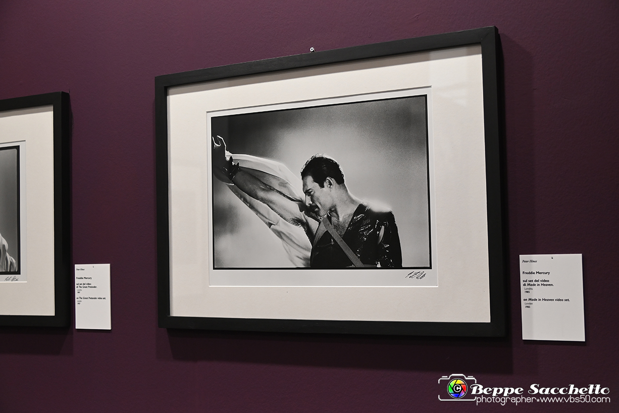 VBS_1774 - Mostra Peter Hince - Queen Experience.jpg